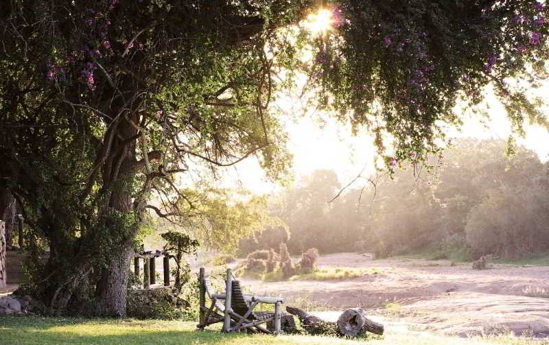 酒店 Motswari Private Game Reserve By Newmark