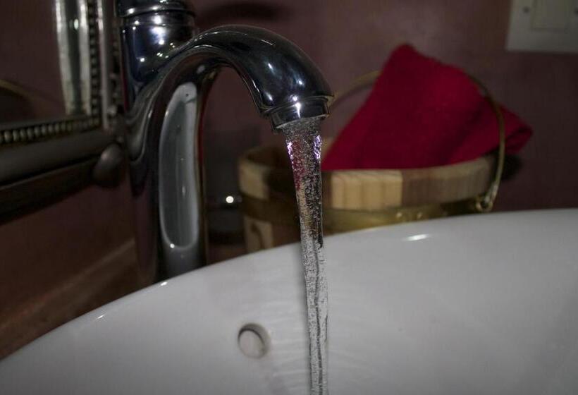 پانسیون Collier De La Colombe