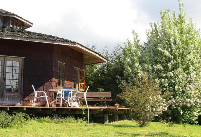 Zapato Amarillo Bed & Breakfast