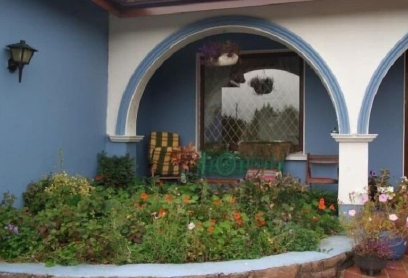 Gorman S B&b