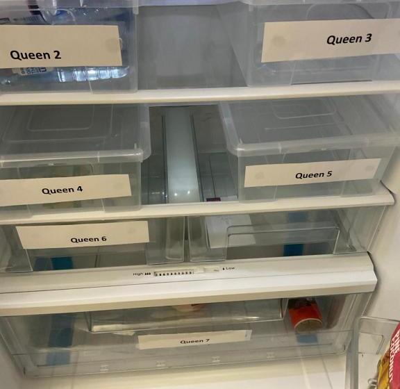 فندق Argyle Accommodation