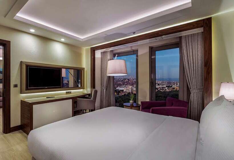 ホテル Doubletree By Hilton Istanbul Topkapi