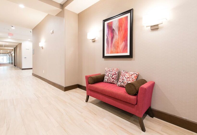 酒店 Hampton Inn & Suites Walterboro