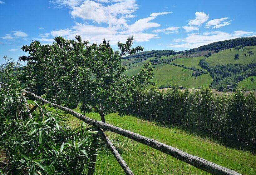 فندق La Casa Sul Colle