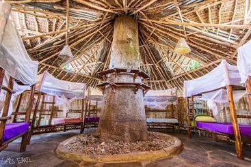 هاستل Diani Backpackers  Adults Only