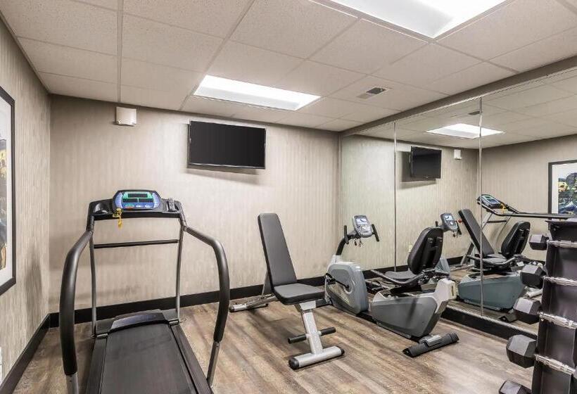 Отель Quality Inn Pleasant View