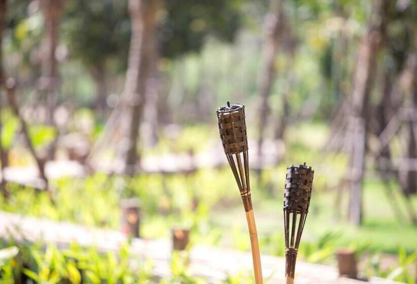 هتل The Series Resort Khaoyai