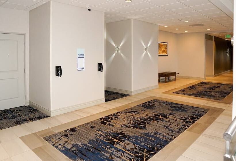 فندق Holiday Inn Express & Suites   Aurora Medical Campus, An Ihg