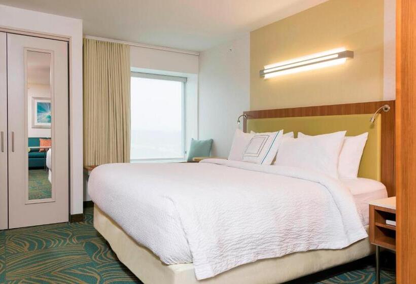 בית מלון כפרי Springhill Suites By Marriott Chicago Southeast/munster, In