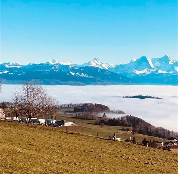 B&b Bären