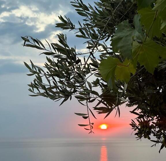 هتل Eléa Guesthouse Himare