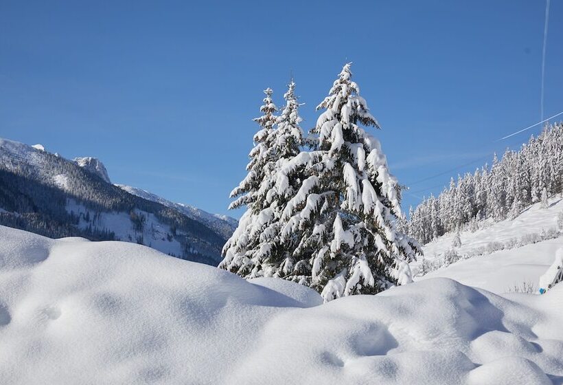 호텔 Almhof Family Und Wellness Resort