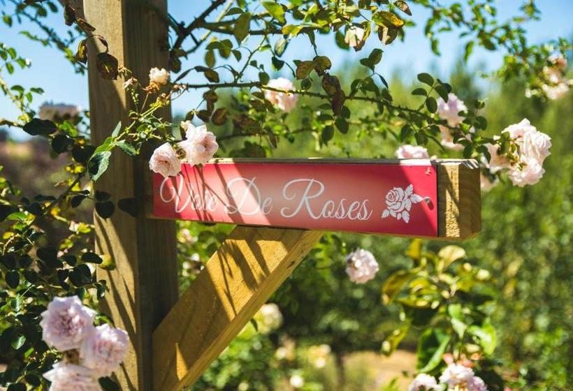 تختخواب و صبحانه Willow S Green