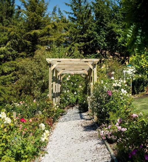 تختخواب و صبحانه Willow S Green