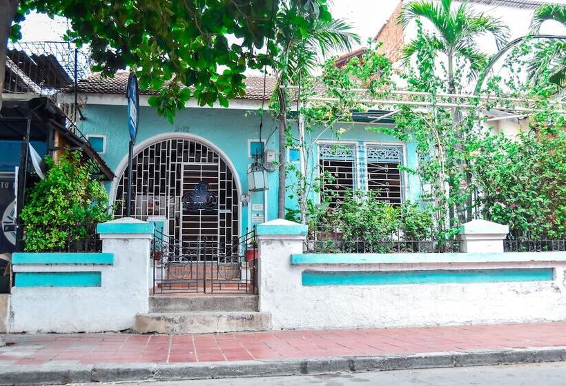 هتل Aluna Hostel B&b