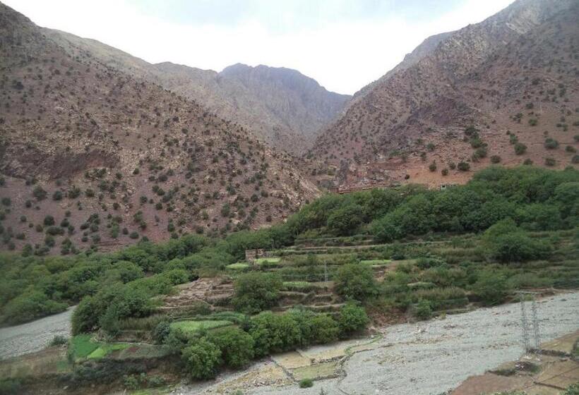 تختخواب و صبحانه Gite Ousalem