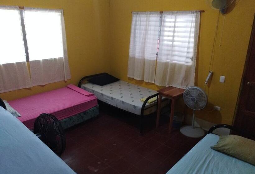تختخواب و صبحانه Hostel Papagayo