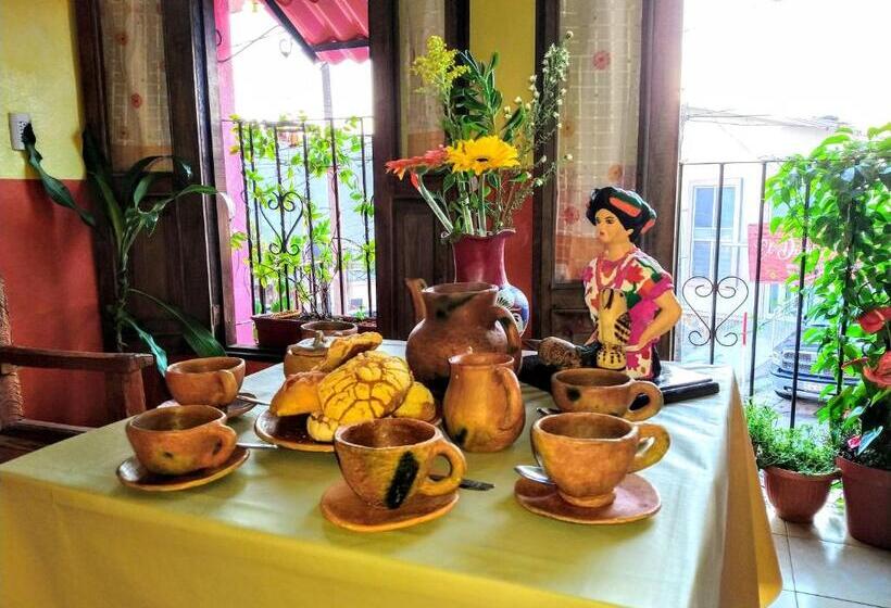 تختخواب و صبحانه Posada Jardin Huasteca Xilitla