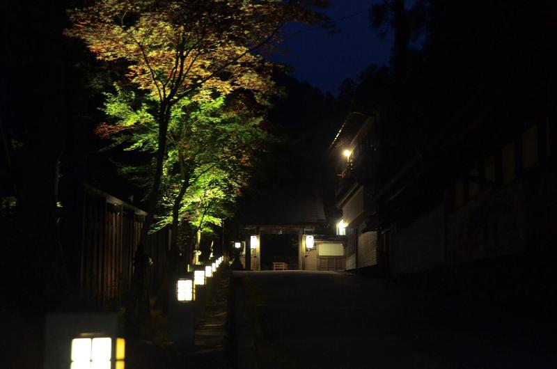 Ryokan 高野山 宿坊 不動院  Koyasan Shukubo Fudoin