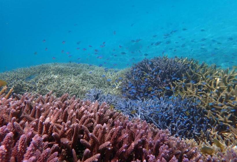 فندق Canaan Coffee &