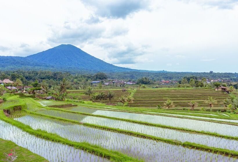 تختخواب و صبحانه Bhuana Agung Villa And Restaurant