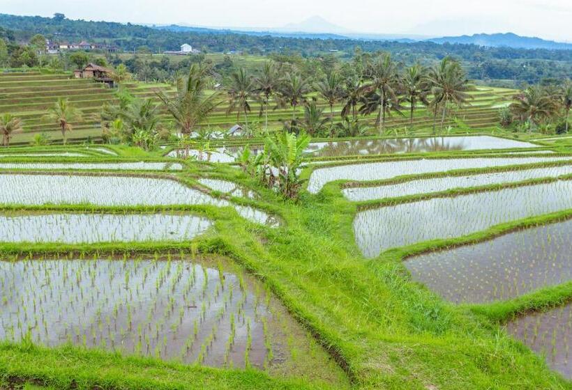 تختخواب و صبحانه Bhuana Agung Villa And Restaurant