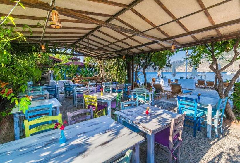 住宿加早餐  Gi̇ri̇ti̇mu Evleri̇