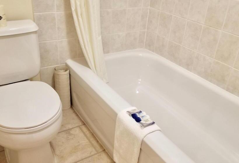 فندق على الطريق New Imperial Inn