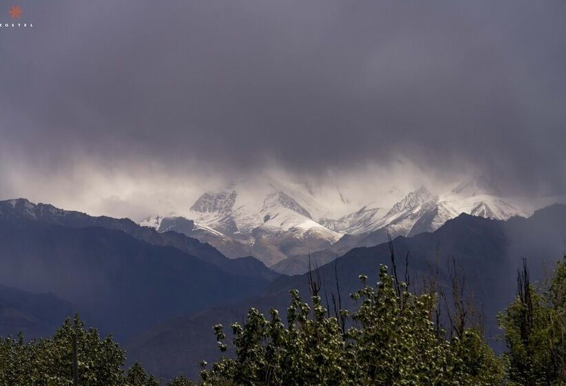 Общежитие Zostel Leh