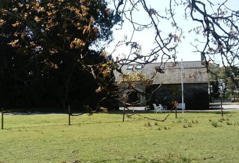 住宿加早餐  Augherea House