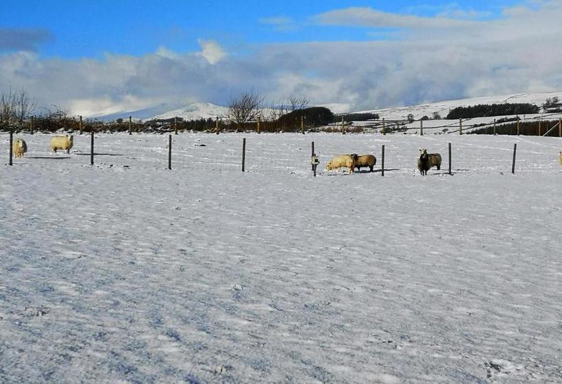 فندق Y Giler Arms