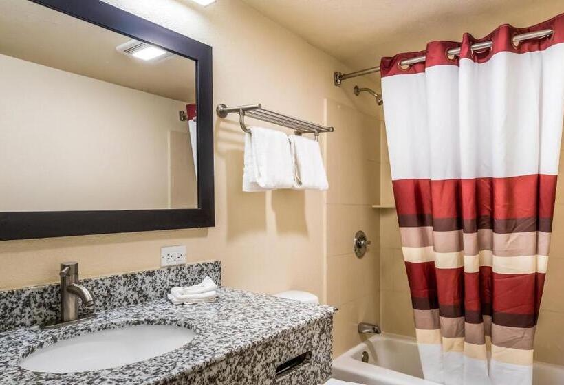 בית מלון כפרי Red Roof Inn Chicago  Alsip