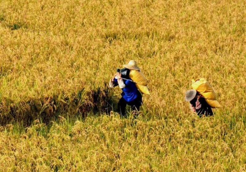 旅馆 Jacky's Guesthouse