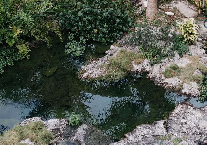 فندق Coqui Coqui Papholchac Coba Residence & Spa