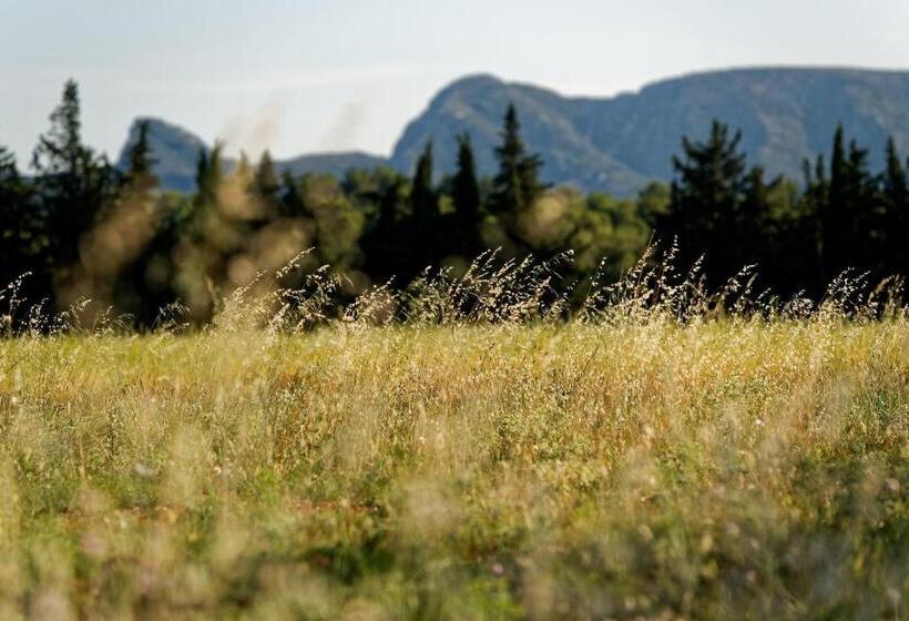 בית מלון כפרי Domaine La Pierre Blanche