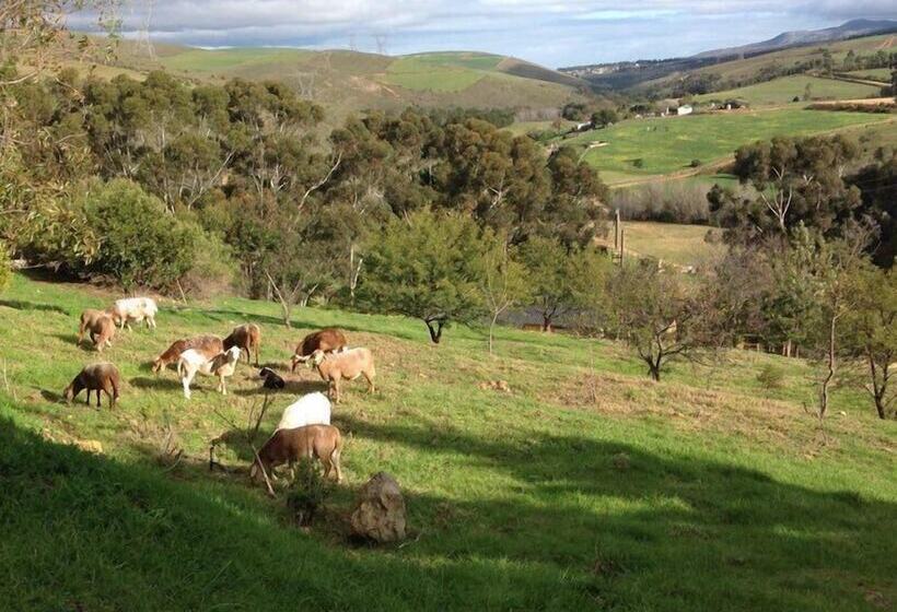 בית מלון כפרי Swaynekloof Farm