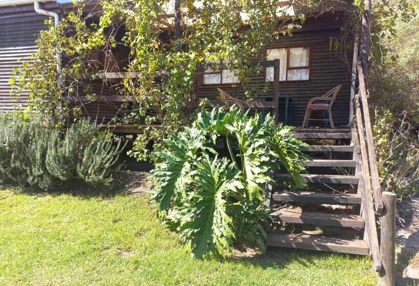 בית מלון כפרי Swaynekloof Farm