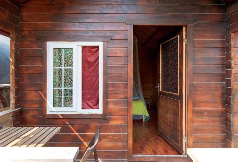 B&b S Home