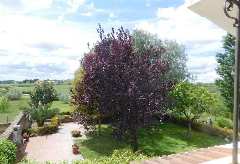 צימר L Albero Del Pepe