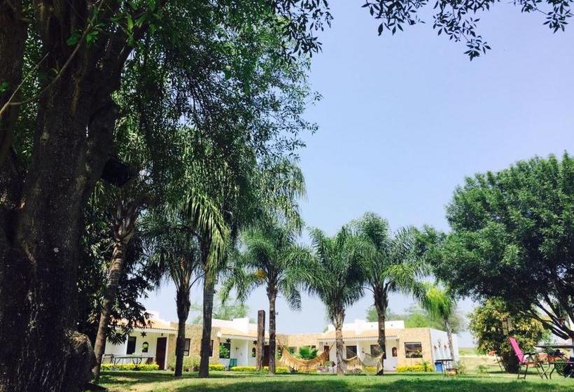 Hotel Ecovergel Boutique