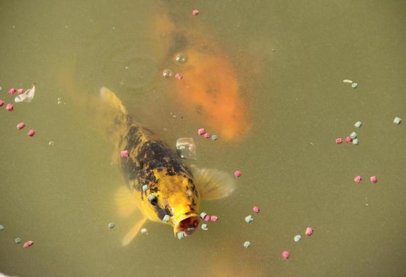 ホテル Allianto Boutique