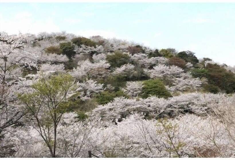 هتل Js Nichinan Resort