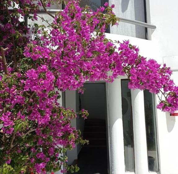 هتل Posada De Los Pajaros