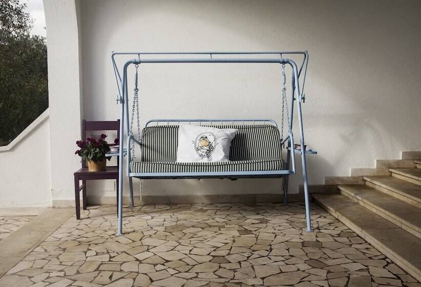 Il Pettirosso B&b