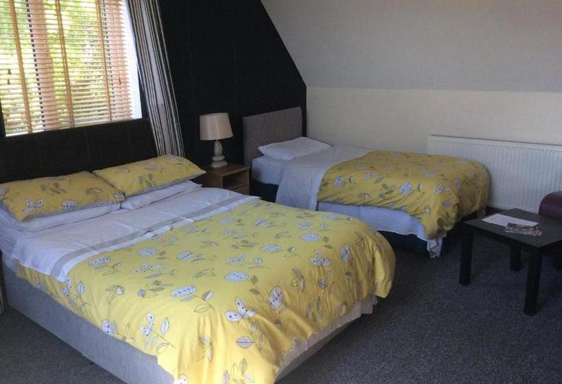 ベッドアンドブレックファースト Coach House Suites