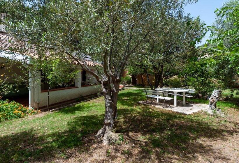 住宿加早餐  Guest House Villa Verde   Short Term Room Rentals