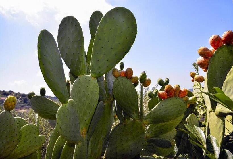مبيت وإفطار La Maison Galu