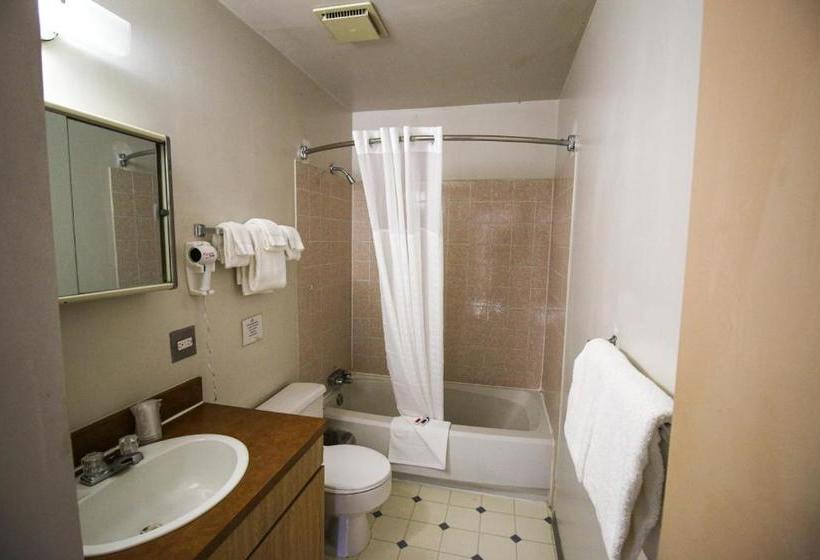 فندق على الطريق Bighorn Inn & Suites