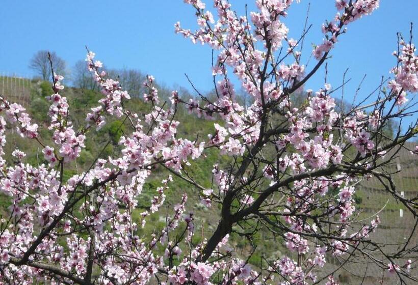 ホテル Mosel Landhaus B&b