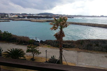 Wollyeongkoji